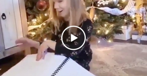 Blind little girl gets entire Harry Potter series in braille, and is someone chopping onions? (Video)