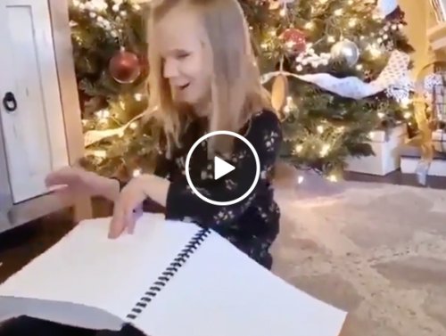 Blind little girl gets entire Harry Potter series in braille, and is someone chopping onions? (Video)