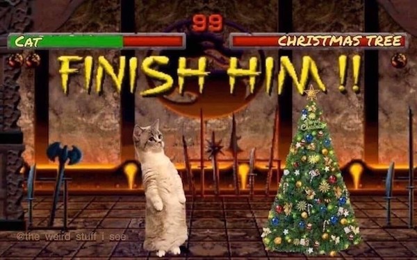 [Image: cat-99-cat-christmas-tree-finish-hina-we...info&w=600]