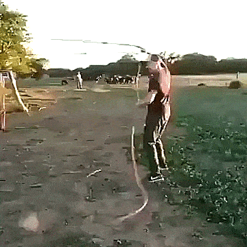 daily-morning-awesomeness-38-photos-2-5.gif