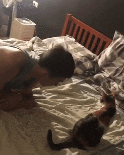 daily-morning-awesomeness-38-photos-4-9.gif