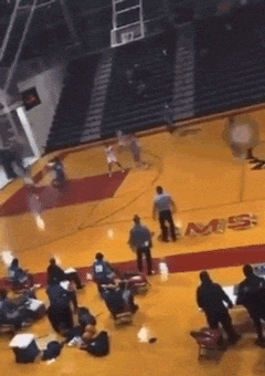daily-morning-awesomeness-38-photos-3-11.gif