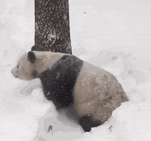 daily-morning-awesomeness-38-photos-4-2.gif