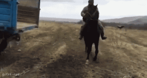 daily-morning-awesomeness-40-photos-3.gif