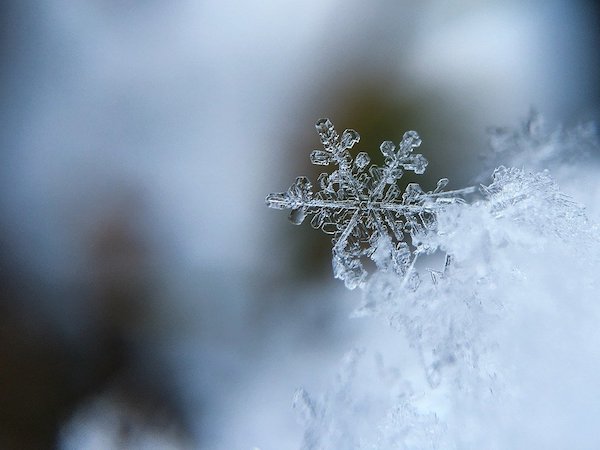 Amazing Random Facts To Add To Your Collection