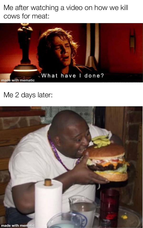 Top Notch Memes of the Week!