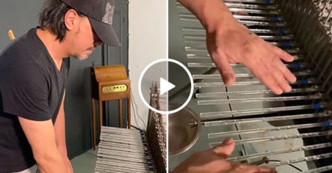 Good God this instrument is like a warm bear hug for the ears (Video)