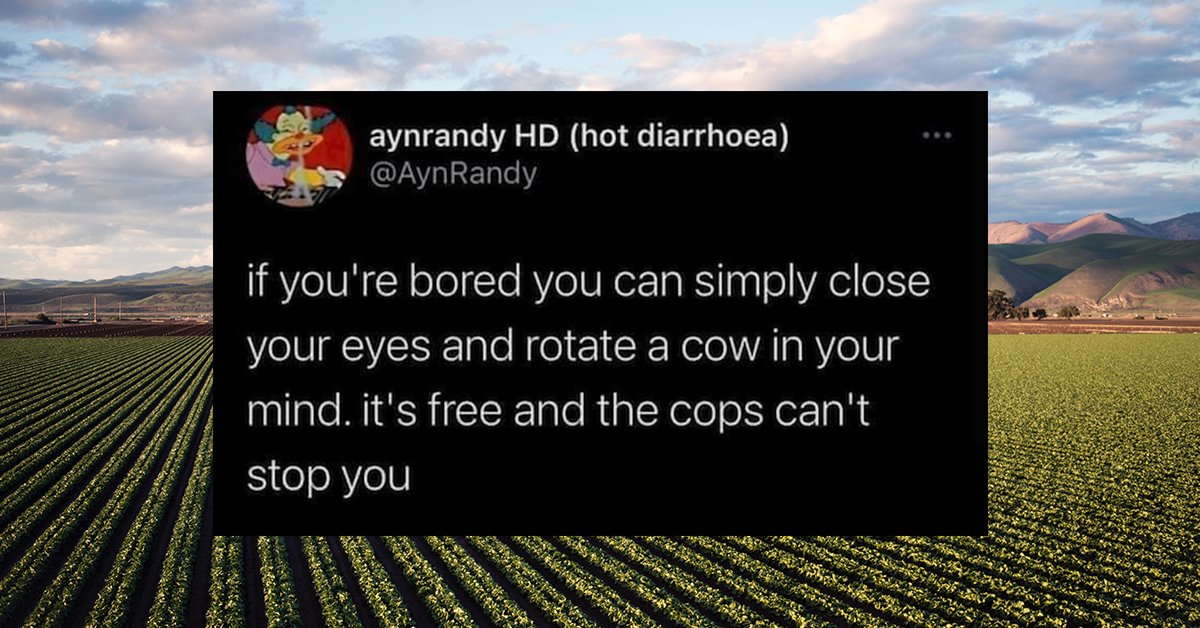 That was specific... maybe a little *too* specific
