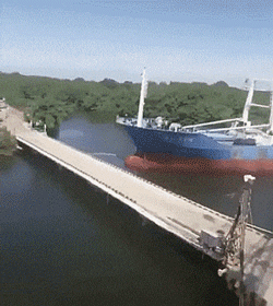 daily_gifdump_3490_20.gif