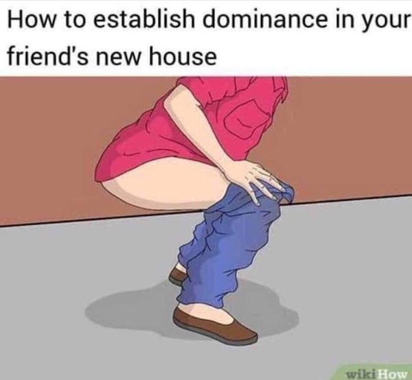 86259913.jpg?attachment_cache_bust=36883