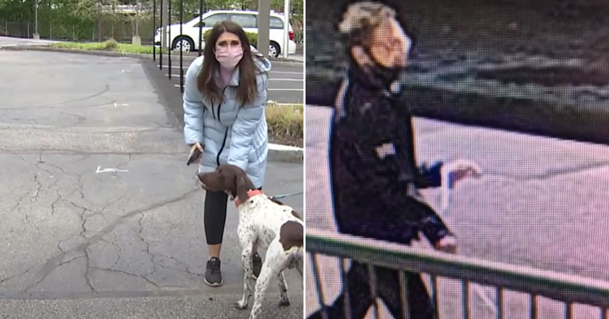 News reporter spots missing stolen dog while live on camera.