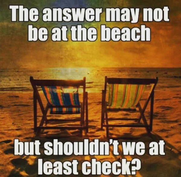 Grab your bikinis, it's beach meme season! (32 Photos)