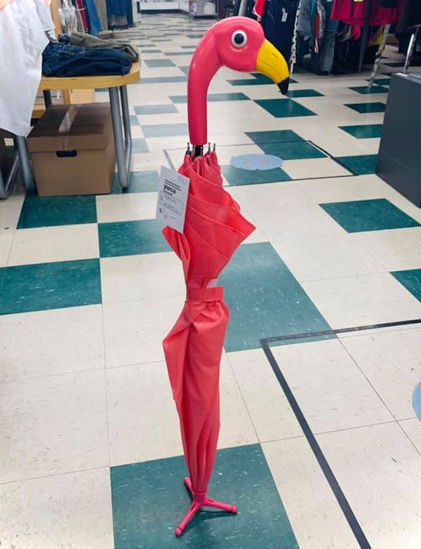 Awesome and rare thrift shop finds