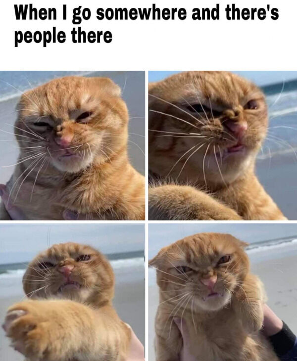 aec860e2576516946d1fa0d381ed8905_width-6