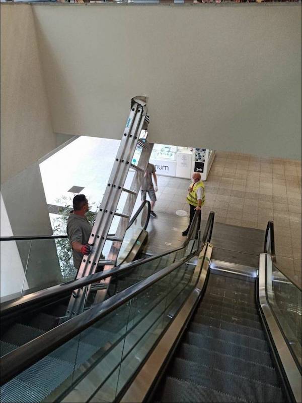 daily_picdump_3793_640_high_06.jpg