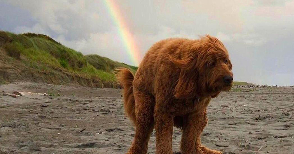 Daily Afternoon Randomness (49 Photos)
