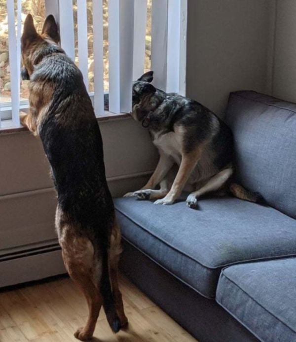 there-are-two-types-of-people-in-this-world-25-photos