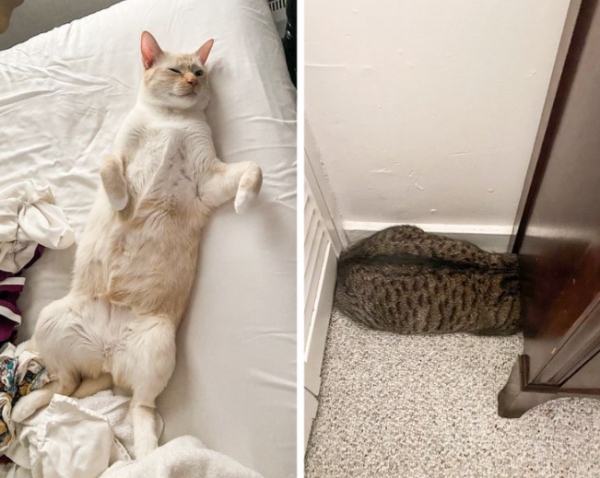 There Are Two Types Of People In This World 25 Photos there-are-two-types-of-people-in-this-world-25-photos