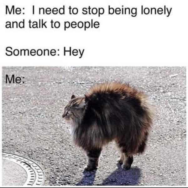 Memes That Accurately Depict The Despair Inside Me