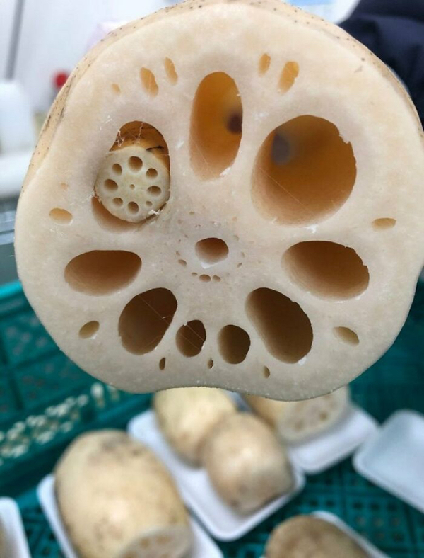 Truly terrifying types of trypophobia