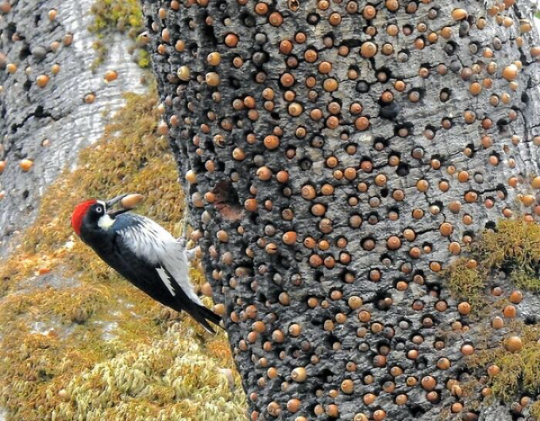 Truly terrifying types of trypophobia