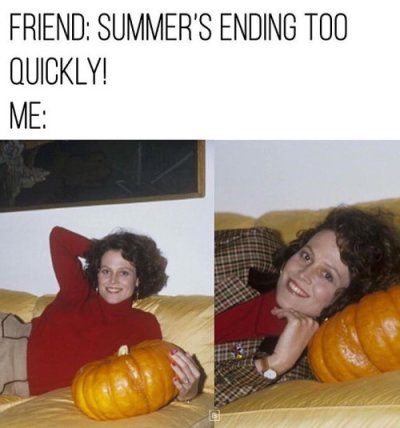 Fall memes are rolling in just like a pumpkin down a hill
