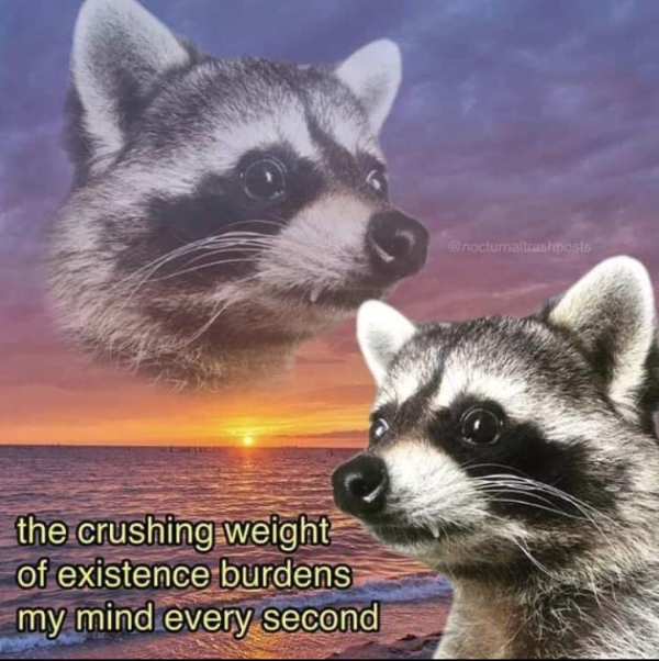 Memes That Accurately Depict The Despair Inside Me