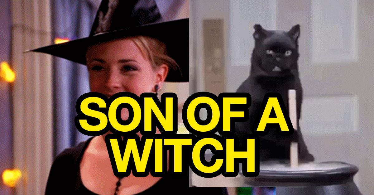 The (potential) real reason why we think black cats are bad luck