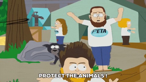 PETA starts beef with MLB pitcher after he slaughtered bull that spooked him