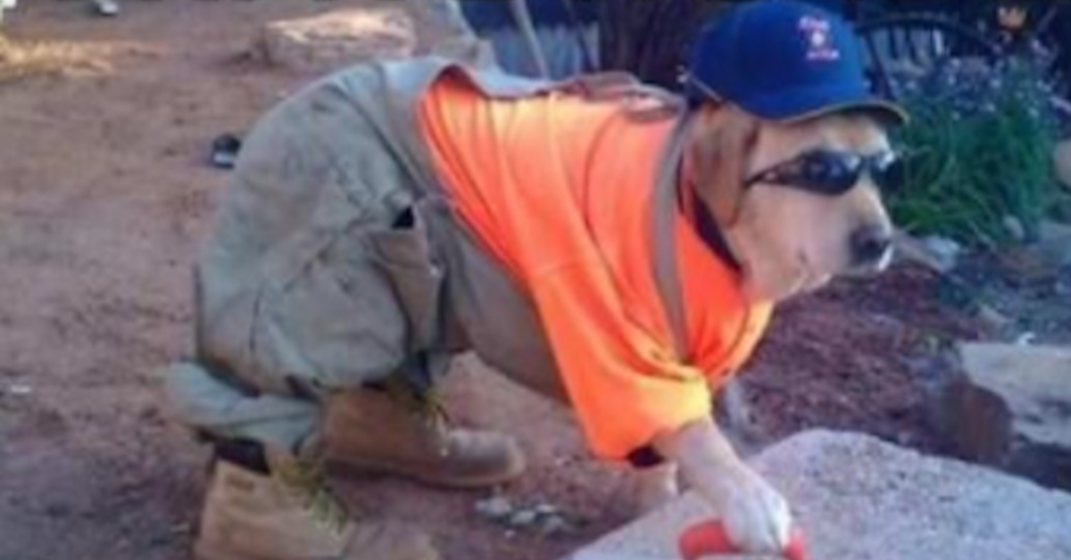 GUTTERLY ridiculous memes to get your mind... into the gutter???