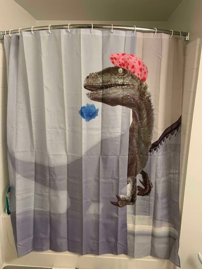 Great Shower Curtains, Best Shower Curtain Hooks Reddit