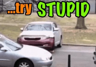 Luke Idiot GIF - Luke Idiot Bad Driving - Discover & Share GIFs