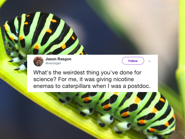 Bizarre experiments and some weird science