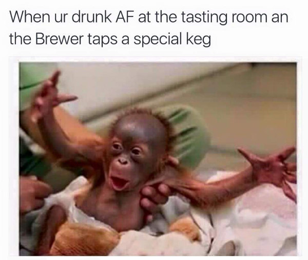 A Perfectly Poured Pint of Beer Memes