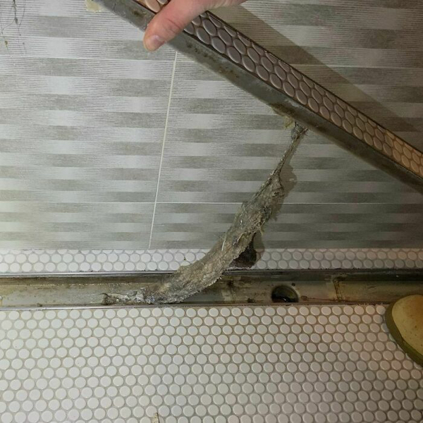 Horrifyingly hilarious home inspection fails