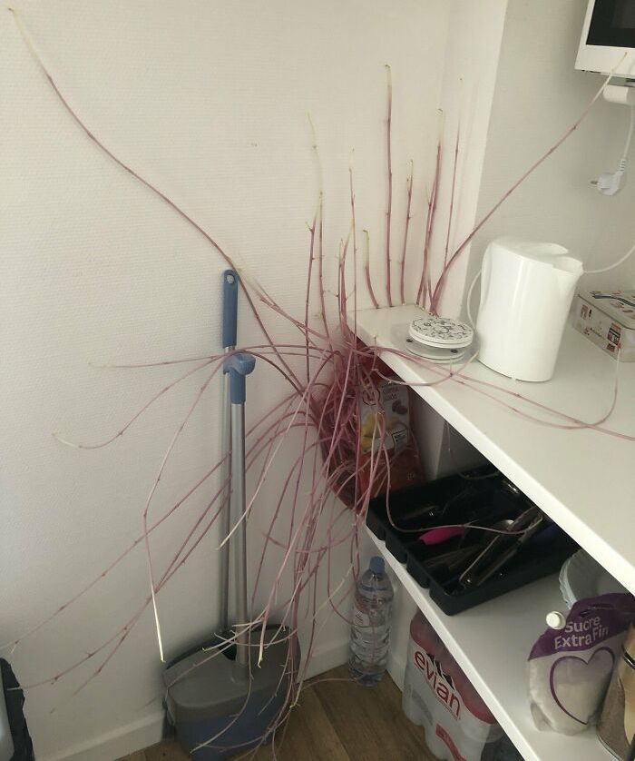 תמונות מפחידות שישאירו אותך ער בלילה (30 תמונות)