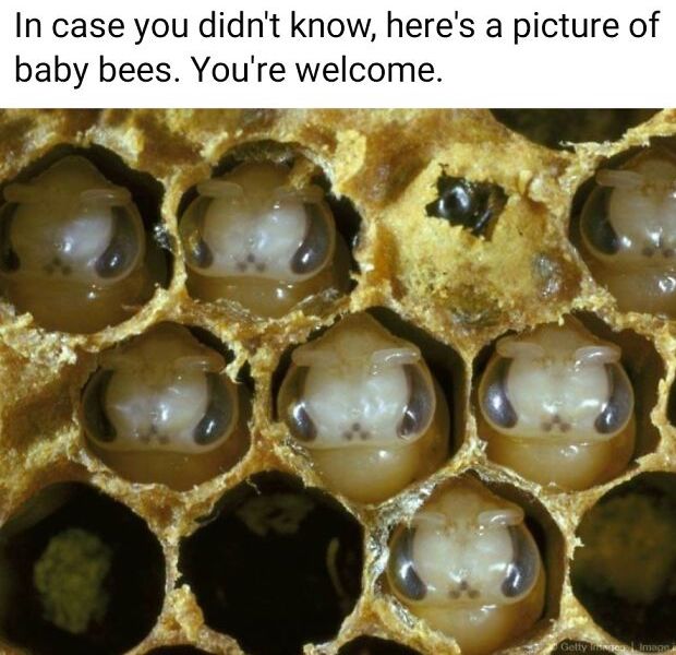 תמונות מפחידות שישאירו אותך ער בלילה (30 תמונות)