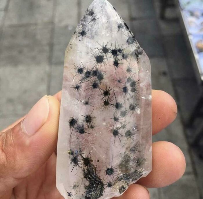 תמונות מפחידות שישאירו אותך ער בלילה (30 תמונות)