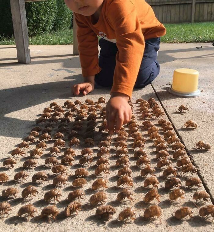 תמונות מפחידות שישאירו אותך ער בלילה (30 תמונות)