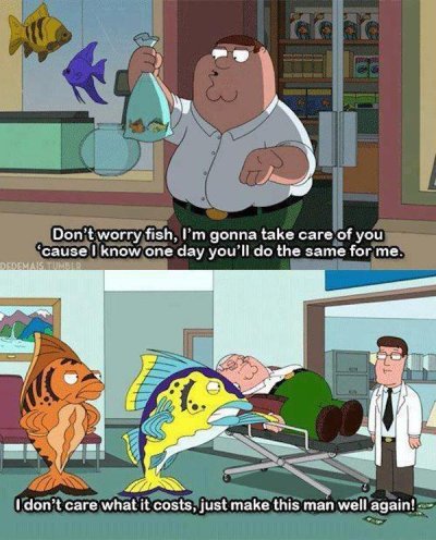 Family Guy Memes And Moments Will Give You A Good Laugh