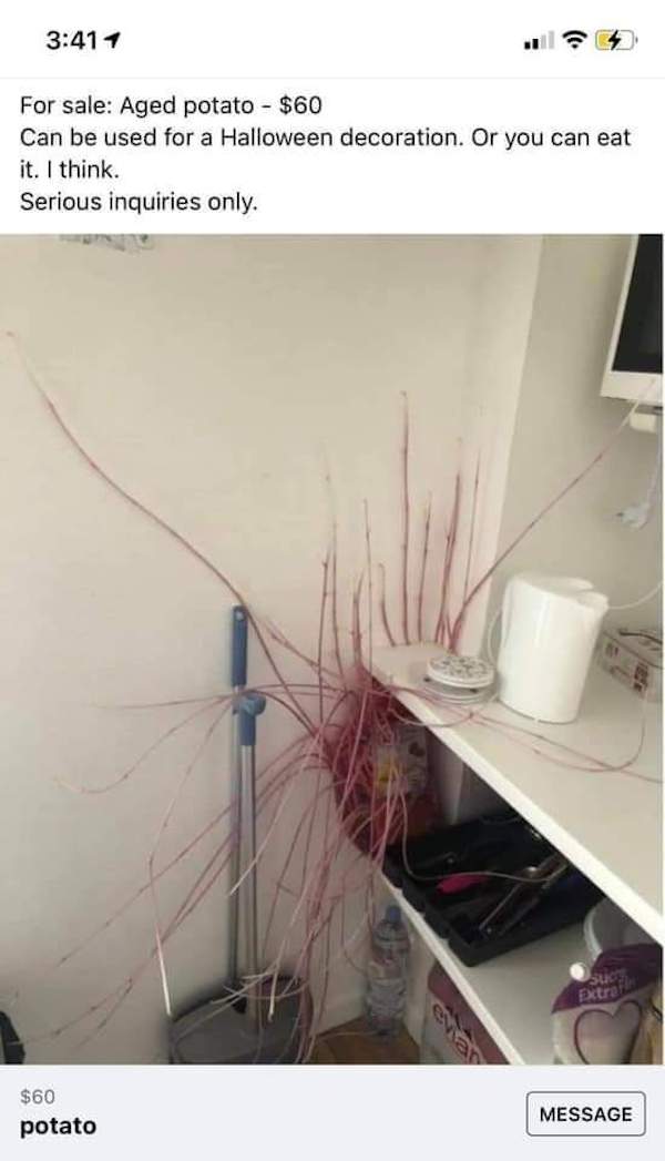 The Craziest Things People Are Selling Online