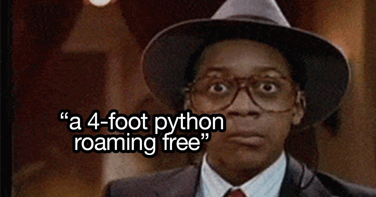 Just the weirdest experiences people had as a kid at a friend's house