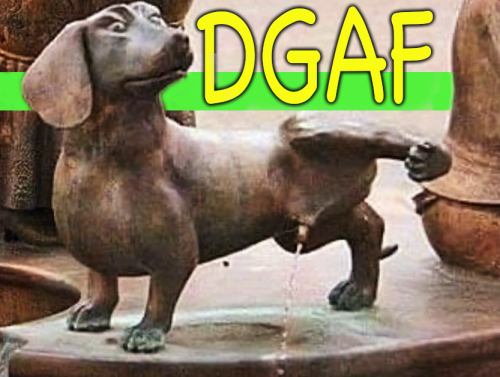 DGAF memes 22 Lead 01a