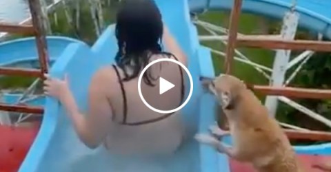 Screw the dog park he wants the water park (Video)