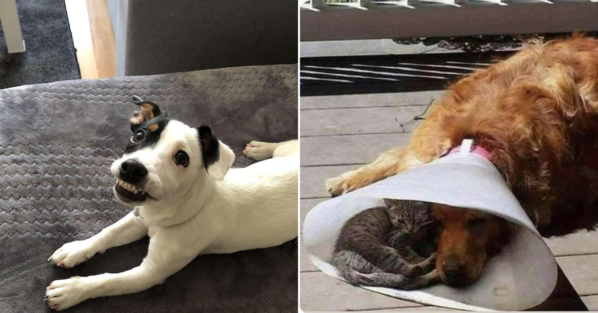 Here's some eye bleach to help get you through the day