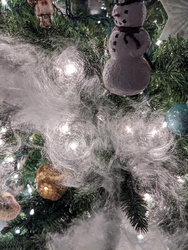 Images found in nature that are truly baffling