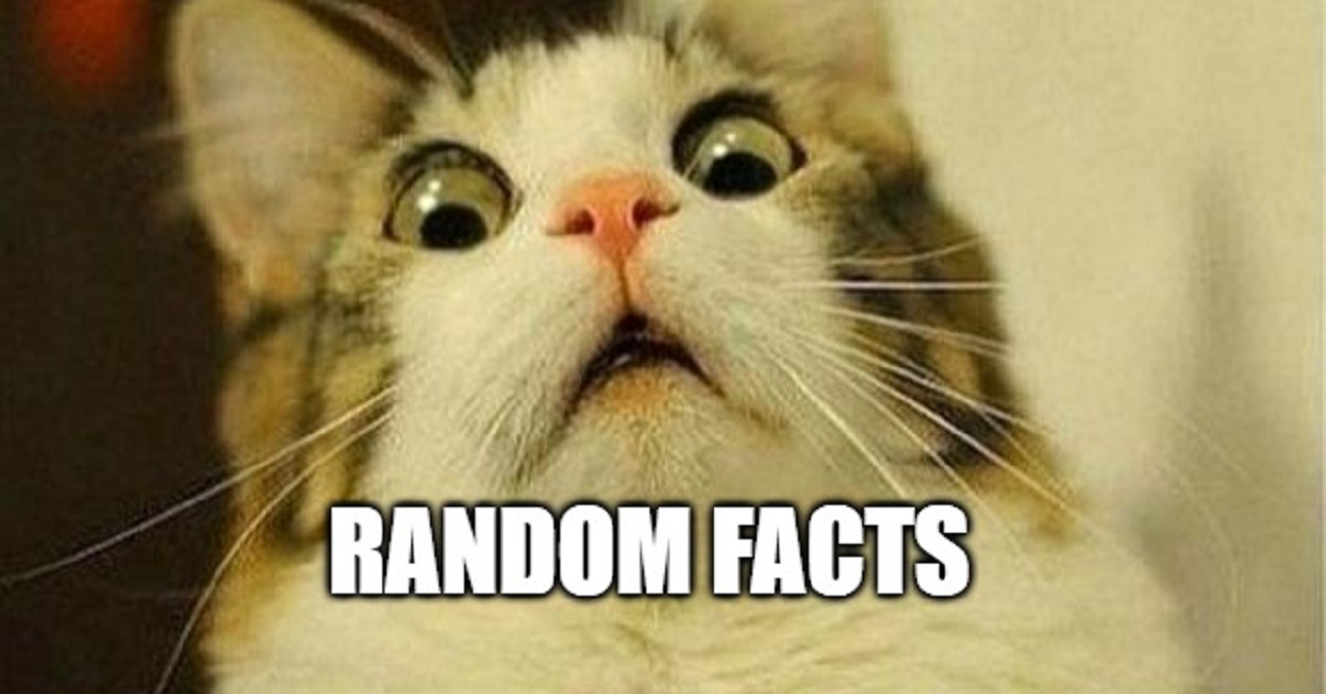 random-useless-interesting-facts