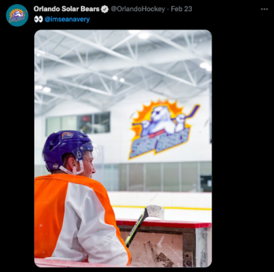 Former NHLer Sean Avery Signs with ECHL Solar Bears - The Hockey News