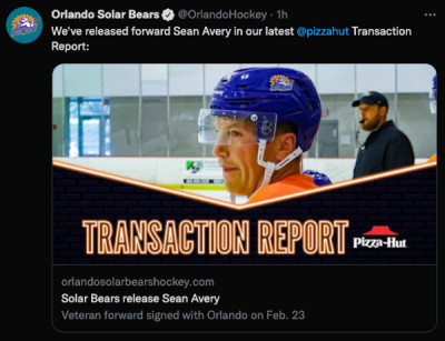 Solar Bears release Sean Avery : r/hockey