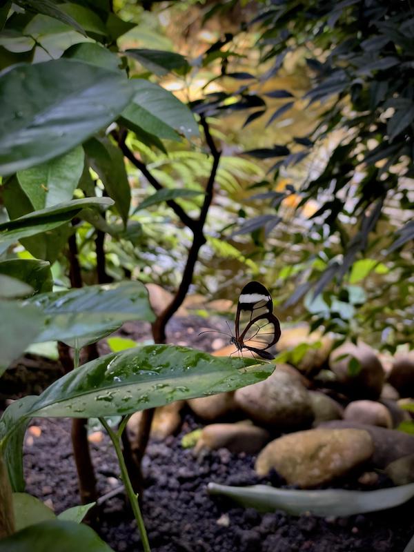 Images found in nature that are truly baffling